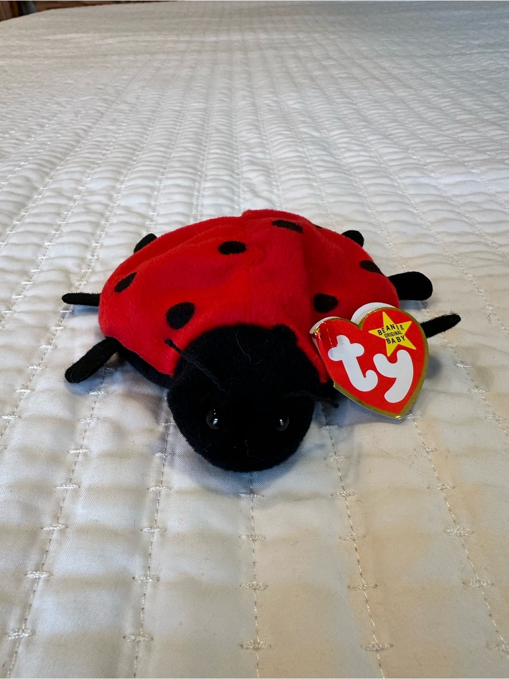 Lucky the Lady Bug Beanie Baby 4040